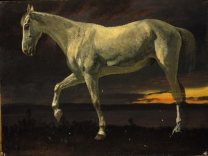 Cavallo bianco e tramonto da Albert Bierstadt